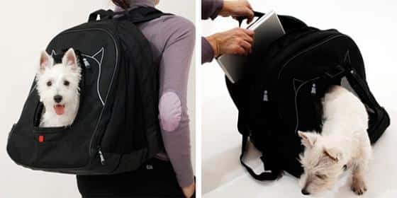PetLaptopBackpack