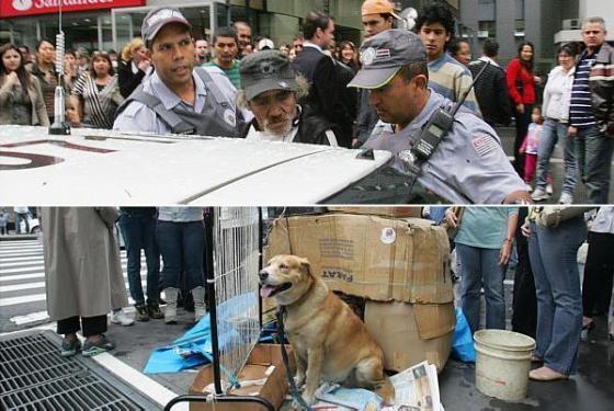 cachorro_morador