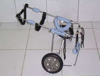 carrinhocao
