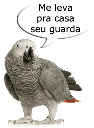 papagaio_africano