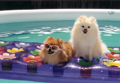 verao2