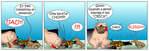 animais_de_rua09