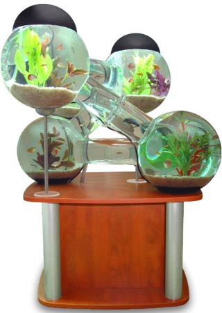 aquario_labirinto2