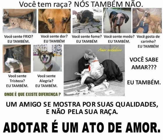 adotar-e-um-ato-de-amor