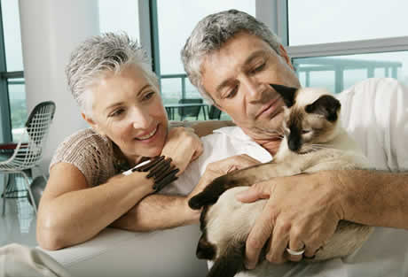 petrede-casal-gato