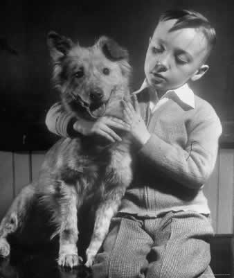 petrede-menino-e-cachorro