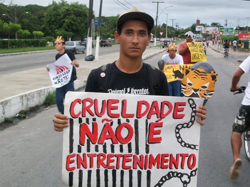 circo