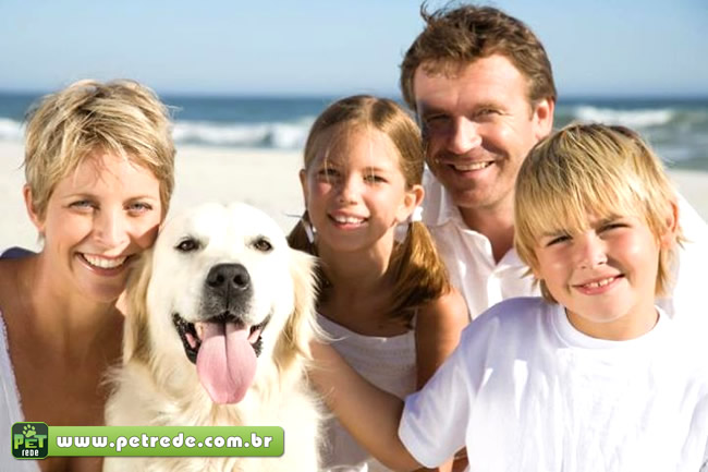 cachorro-labrador-praia-familia-petrede