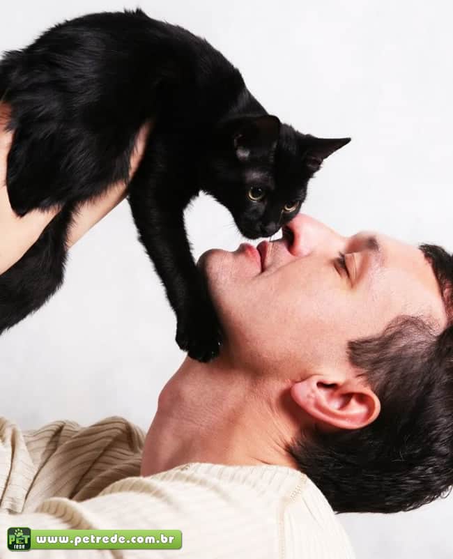 gato-preto-homem-carinho-amizade-petrede