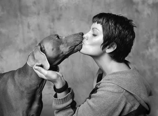 mulher-beijando-cachorro-petrede