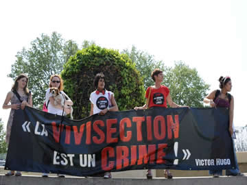 protesto-ANIMAISFRANCA-miguel-medina2
