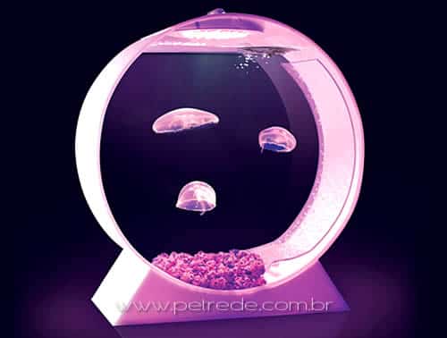 aquario-agua-viva-petrede