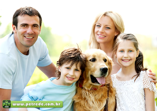 cachorro-labrador-familia-abraco-petrede