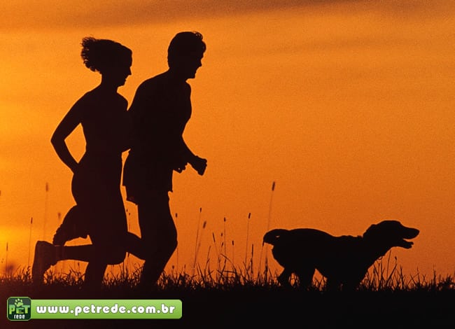 cachorro-exercicio-corrida-atividade-fisica-treinar-petrede