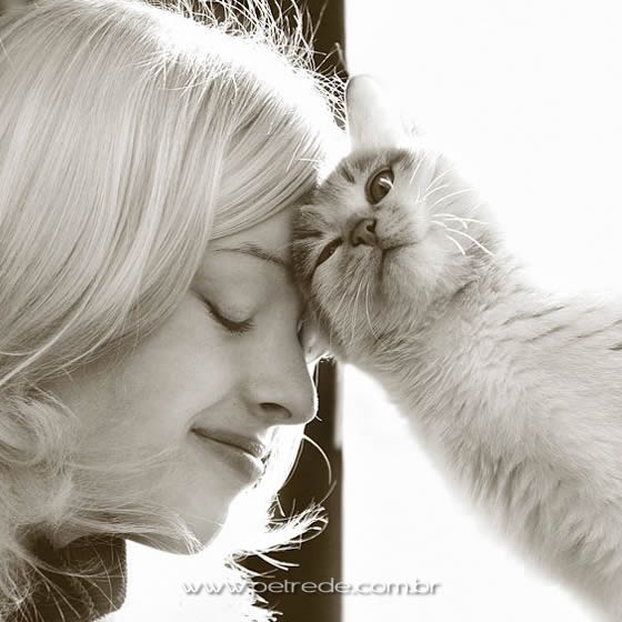 mulher-e-gato-carinho-petrede