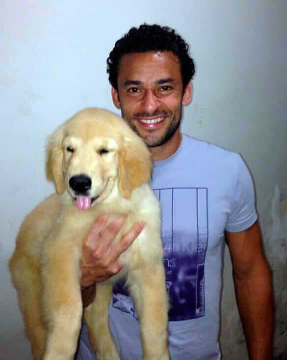 fred-fluminense-golden-retriever