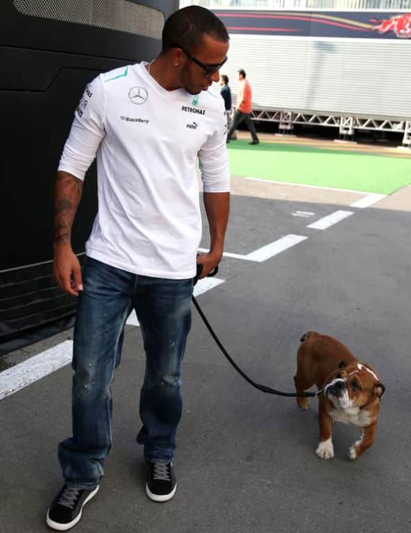 lewis-hamilton-buldogue-gp-espanha