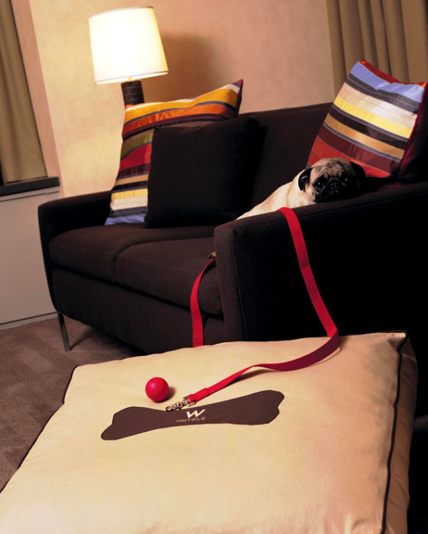 W-hotels-PAW-bed-cachorro-pug