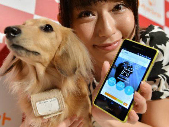 cachorro-bluetooth-celular
