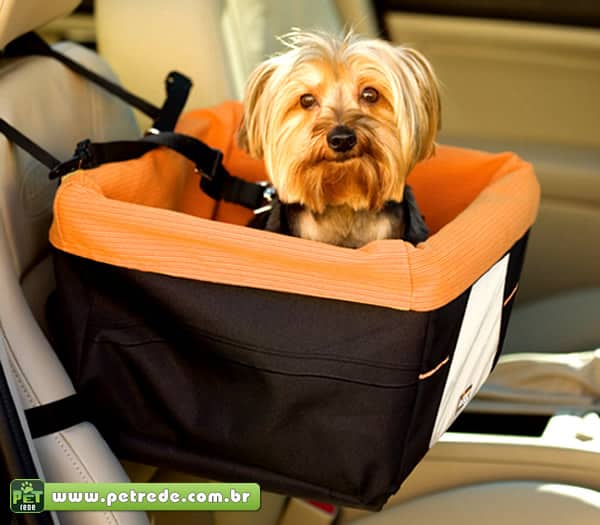 cachorro-automovel-carro-cinto-seguranca-passeio-coleira-yorkshire-transporte-petrede