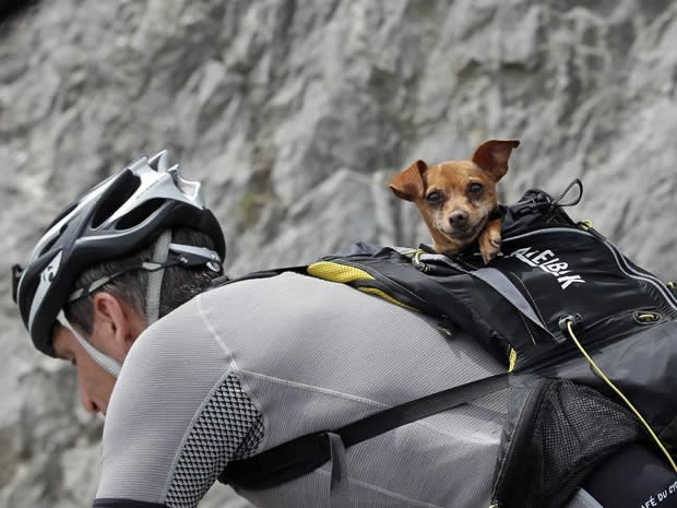 ciclista-leva-cachorro-na-mochila