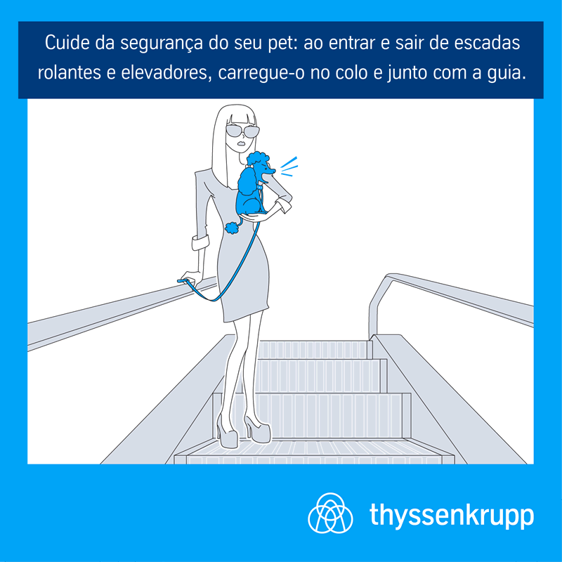 Pets-e-Elevadores-03-petrede
